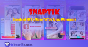 SnapTik, Download MP3 & Video TikTok Tanpa Watermark